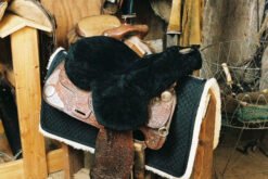 Western Horse Tack