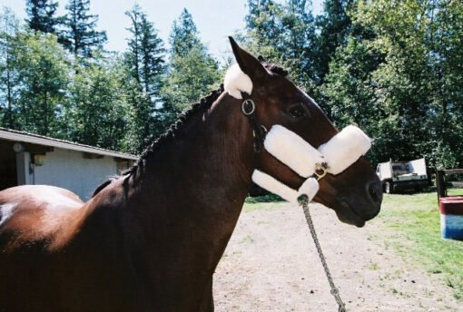 9 Piece Halter Cover Set