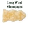 Long Wool Champagne