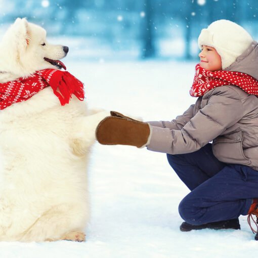 Youth Sheepskin Mittens - Image 4